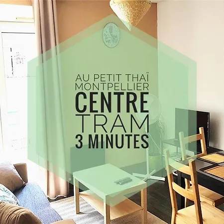 Au Petit Thaï - T2 Avec Balcon - Centre Appartement *